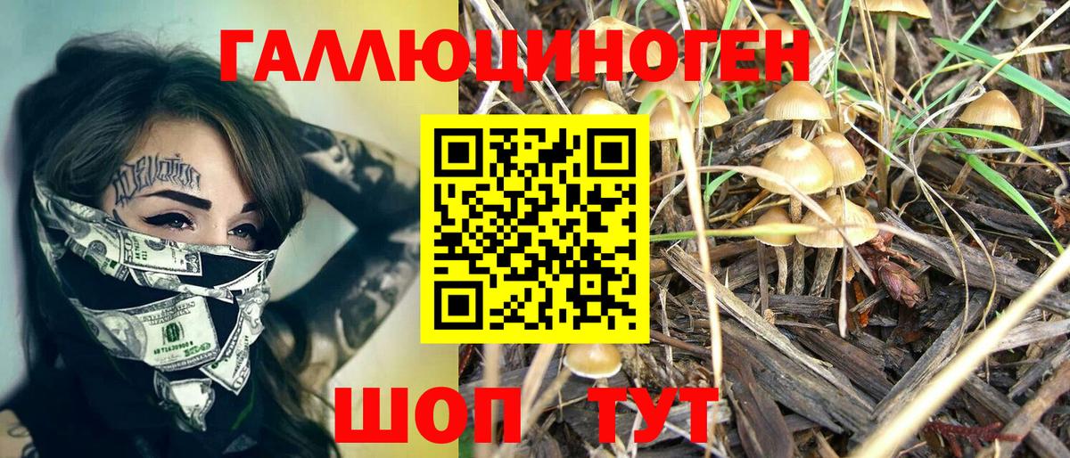 Галлюциногенные грибы GOLDEN TEACHER Шатура
