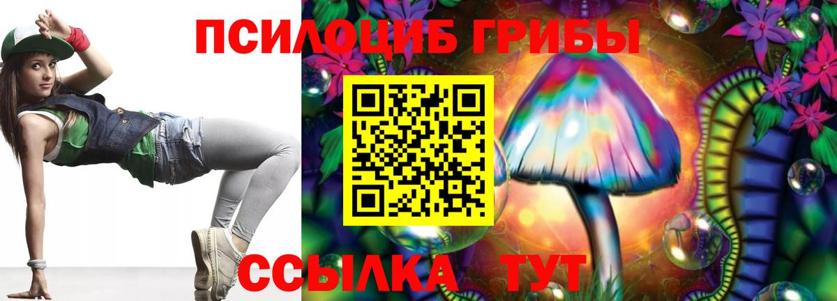 Галлюциногенные грибы GOLDEN TEACHER  Галлюциногенные грибы ЛСД  Шатура  Вход с VPN 